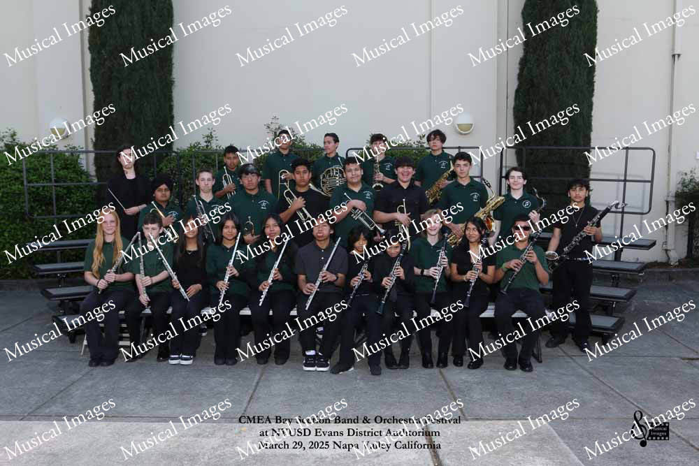 Musical Images